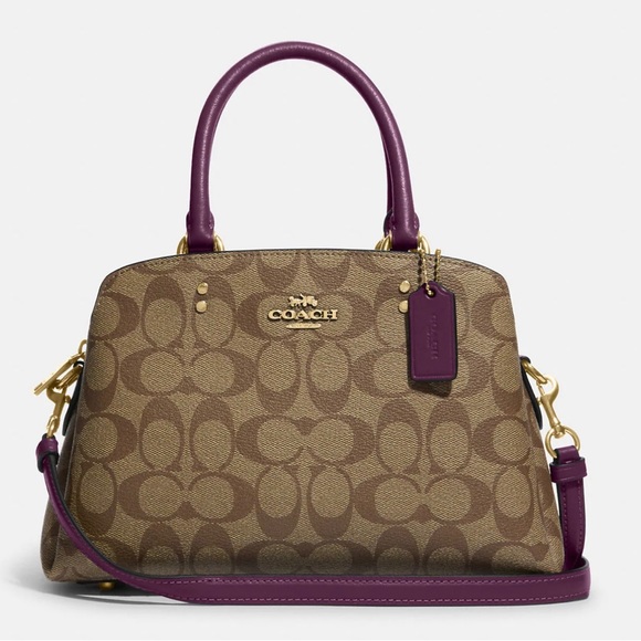 NWT Coach Minnie carryall - Picture 1 of 14